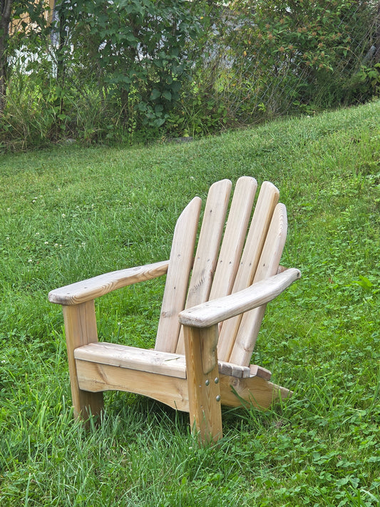 Adirondack DIY maler, barn